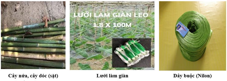 vật liệu làm giàn_1705983527.PNG